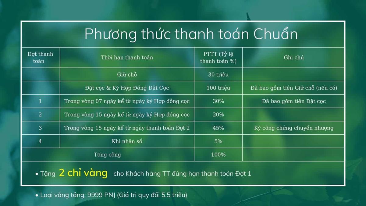 Chính sách thanh toán dự án Đồi Mơ Sky View