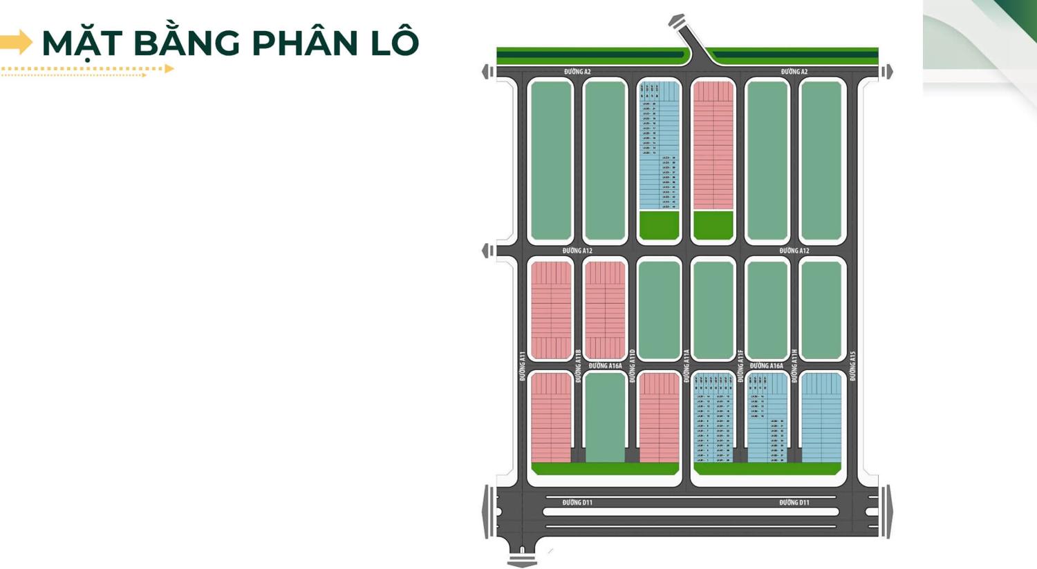 Mặt bằng & thiết kế Phước Đông New City