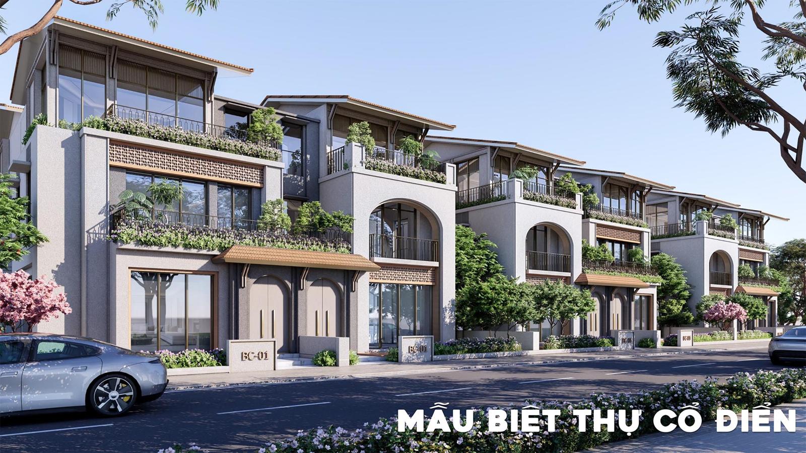 Mặt bằng & thiết kế Charmora City